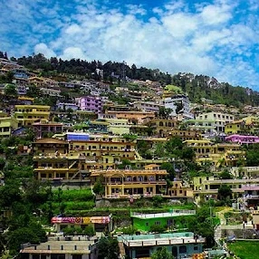 Pauri