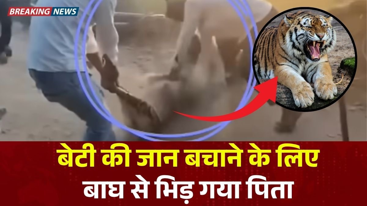 Viral News: बेटी की जान बचाने के लिए बाघ से भिड़ गया पिता, साहस देखकर लोग रह गए आश्चर्य