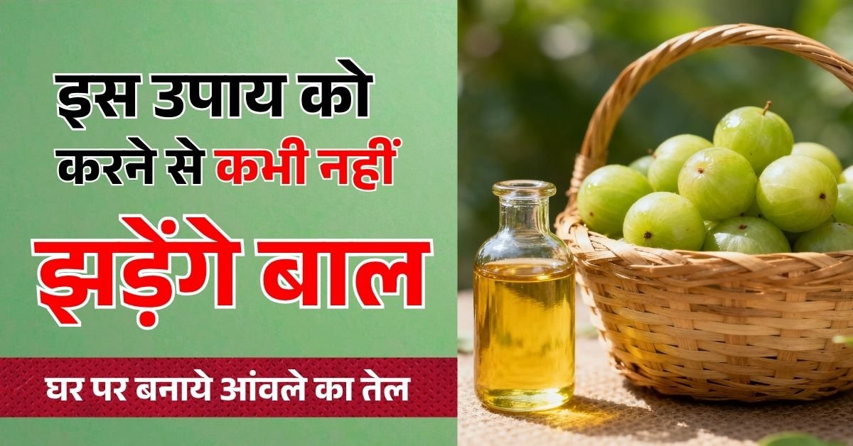 Amla Oil for Hair Fall: घर पर इस तरह बनाएं आंवले का तेल, बाल बनेंगे मजबूत और घने