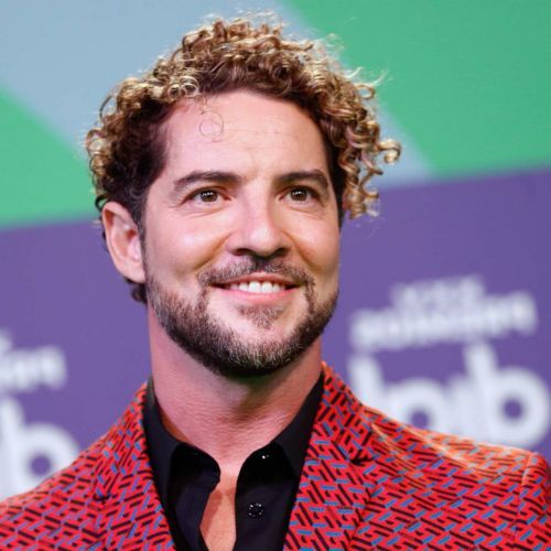 David Bisbal