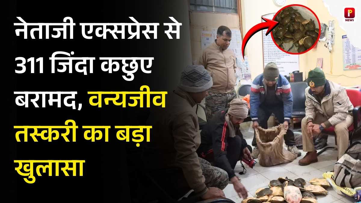 बिहार: नेताजी एक्सप्रेस से 311 जिंदा कछुए बरामद, वन्यजीव तस्करी का बड़ा खुलासा