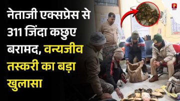 बिहार: नेताजी एक्सप्रेस से 311 जिंदा कछुए बरामद, वन्यजीव तस्करी का बड़ा खुलासा