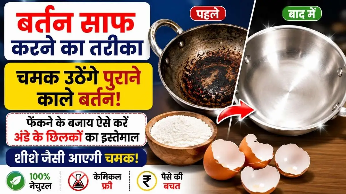 चमक उठेंगे पुराने काले बर्तन: फेंकने के बजाय ऐसे करें अंडे के छिलकों का इस्तेमाल, शीशे जैसी आएगी चमक!