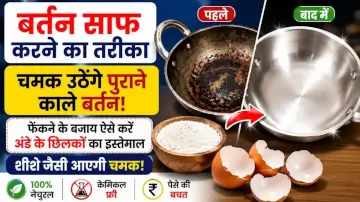 चमक उठेंगे पुराने काले बर्तन: फेंकने के बजाय ऐसे करें अंडे के छिलकों का इस्तेमाल, शीशे जैसी आएगी चमक!
