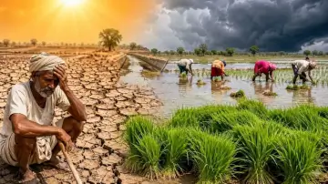 औरंगाबाद में भीषण गर्मी से किसान बेहाल, धान की रोपाई रुकी