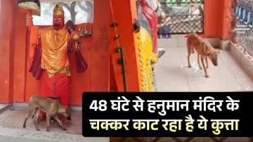 Bijnor Dog Viral Video: बिजनौर हनुमान मंदिर में कुत्ता 48 घंटे बिना रुके परिक्रमा, अनोखे भक्त का चमत्कार