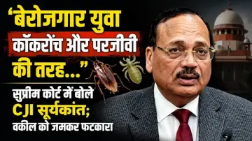 CJI Surya Kant Statement Viral: 'बेरोजगार युवा कॉकरोच और परजीवी की तरह...', सुप्रीम कोर्ट में बोले CJI सूर्यकांत; वकील को जमकर फटकारा