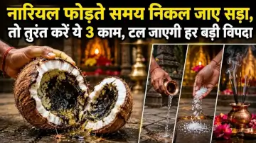 नारियल फोड़ते समय निकल जाए सड़ा, तो तुरंत करें ये 3 काम, टल जाएगी हर बड़ी विपदा