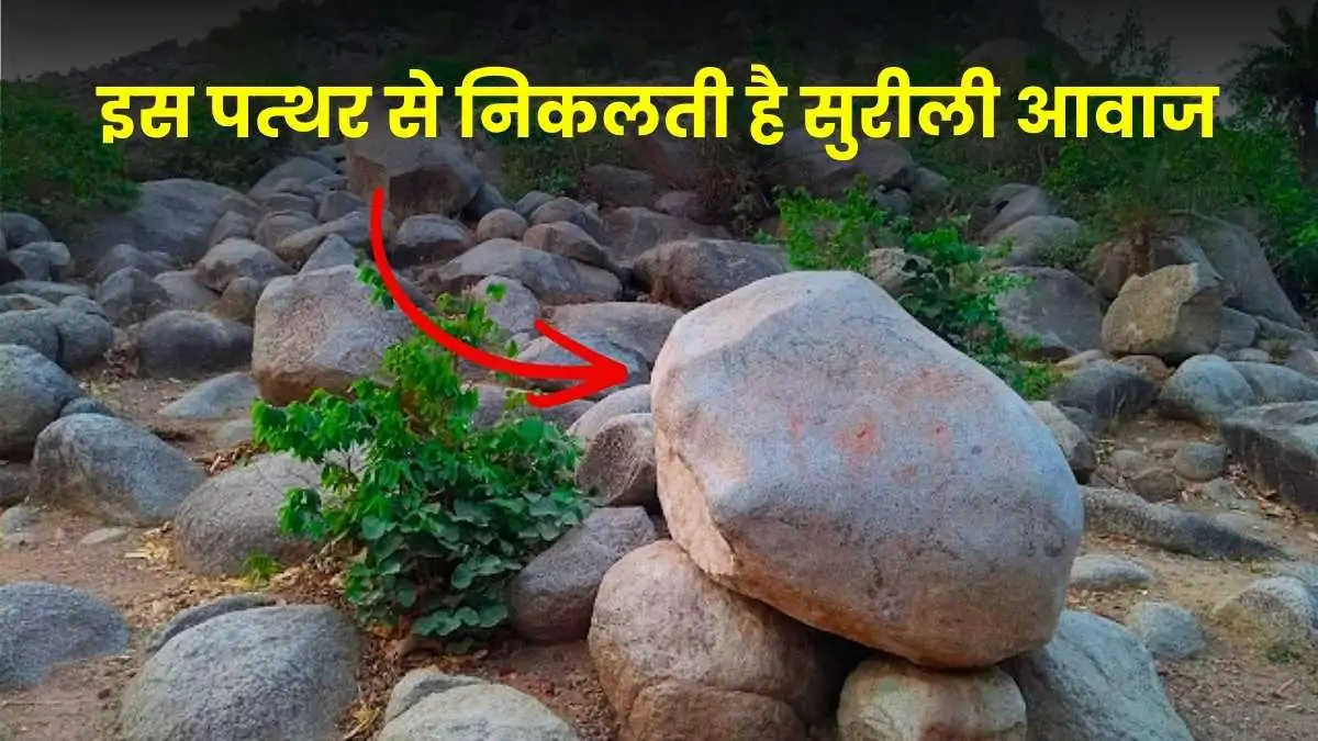 बिहार पर्यटन की लिस्ट में 'झुनझुनवा पहाड़' को शामिल करने की उठी मांग, चौंकाती है पत्थर से निकलती सुरीली आवाज