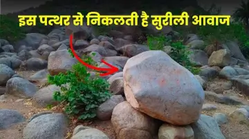 बिहार पर्यटन की लिस्ट में 'झुनझुनवा पहाड़' को शामिल करने की उठी मांग, चौंकाती है पत्थर से निकलती सुरीली आवाज