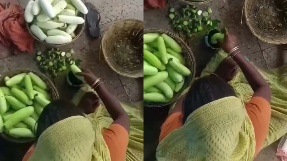 कटिहार रेलवे स्टेशन का चौंकाने वाला वीडियो: खीरे को 'ज़हर' से हरा कर रही महिला, सोशल मीडिया पर फूटा लोगों का गुस्सा