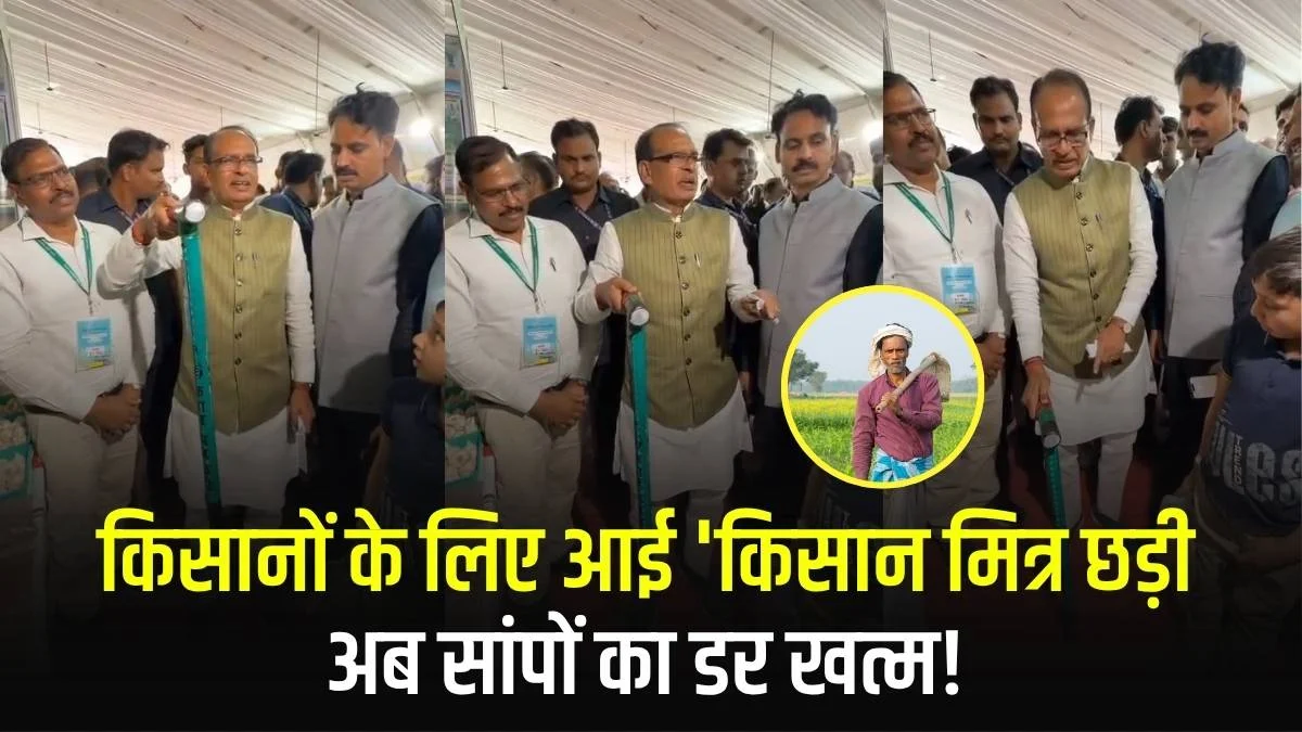 Kisan Mitra Stick: किसानों के लिए सुरक्षा कवच बनी 'किसान मित्र छड़ी', जहरीले जीवों से बचाएगी जान