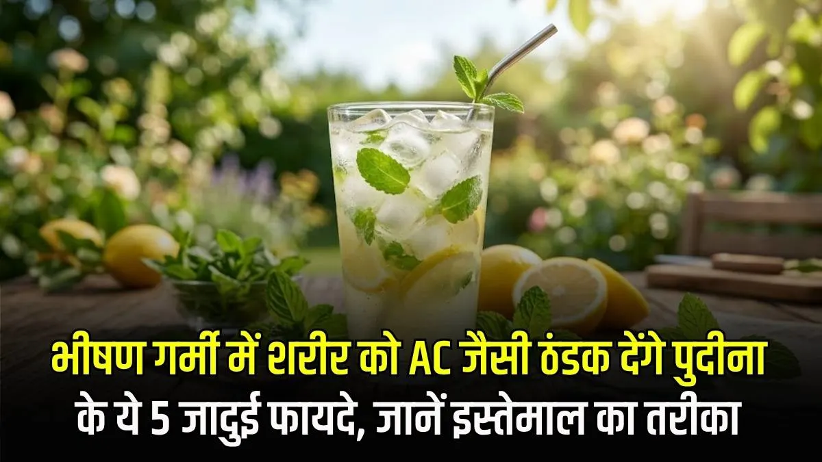 भीषण गर्मी में शरीर को AC जैसी ठंडक देंगे पुदीना के ये 5 जादुई फायदे, जानें इस्तेमाल का तरीका