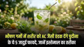 भीषण गर्मी में शरीर को AC जैसी ठंडक देंगे पुदीना के ये 5 जादुई फायदे, जानें इस्तेमाल का तरीका