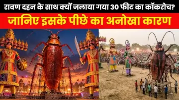 रावण दहन के साथ क्यों जलाया गया 30 फीट का कॉकरोच? जानिए इसके पीछे का अनोखा कारण